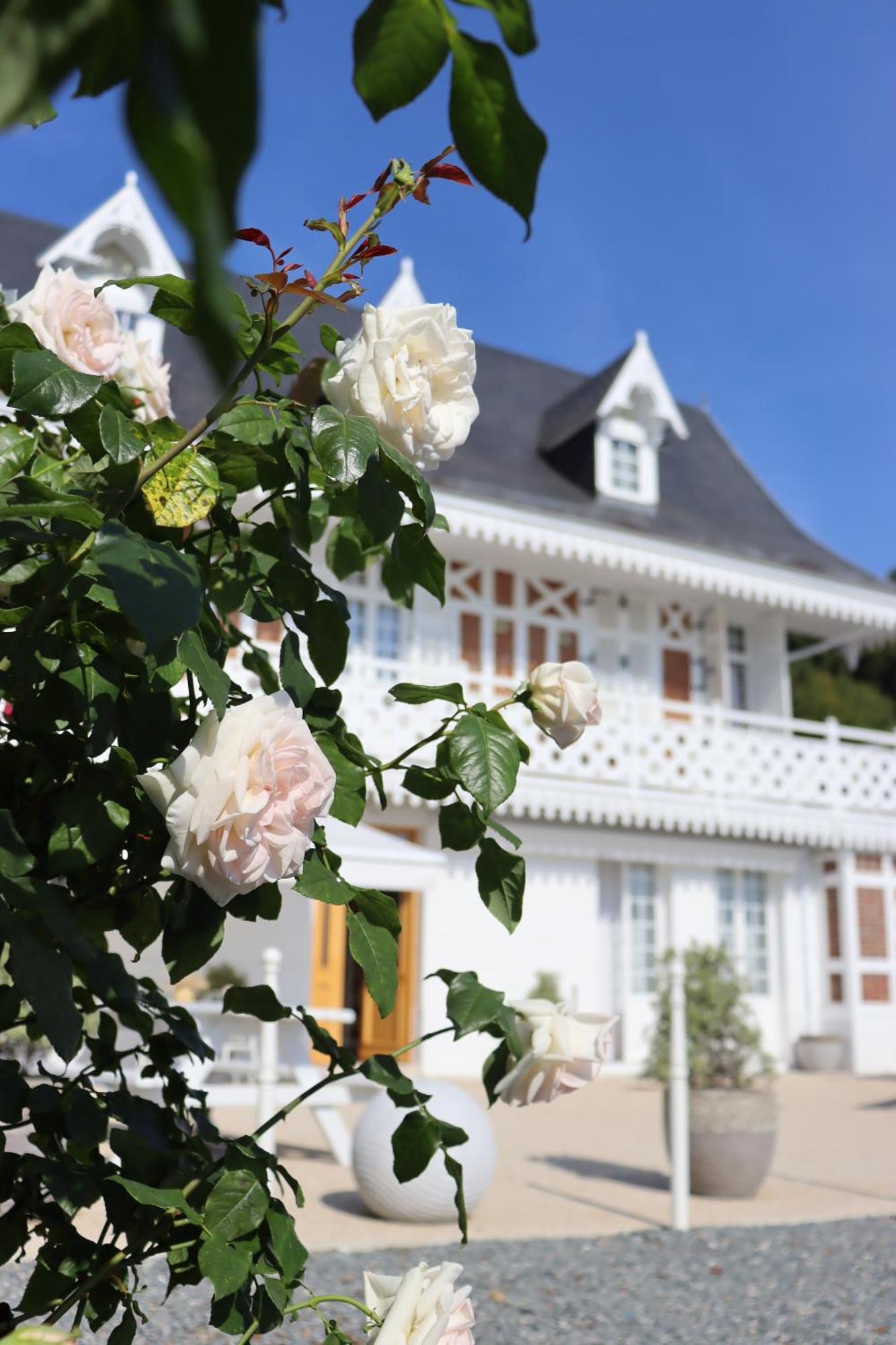 White House, Maison D'Hotes Hotel Villequier Exterior photo